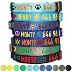 Blueberry Pet Essentials Personalized Dog Collars for Medium Dogs | Adjustable & Personalized Dog Collar with Name Tag – Embroidered with Pet Name & Phone Number (Turquoise, Medium)