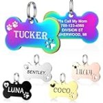 Dog Tags Engraved for Pets – YEHANTI Personalized Dog Tags with Lovely Icons, Durable Stainless Steel Pet ID Tags for Small Large Dogs Cats, Custom Dog Name Tags Engraved on Both Sides (Bone)