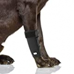 IN HAND Dog Leg Brace, Pair of Dog Canine Leg Wrap Front Leg Compression Brace with Metal Strips & Safety Reflective Straps, Protects Wounds Brace Heals and Prevents Injuries and Sprains