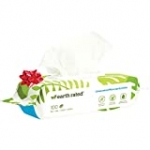 Earth Rated Dog Wipes, 100 Plant-Based and Compostable Wipes for Dogs & Cats, USDA-Certified 99 Percent Biobased, Hypoallergenic, Unscented 8×8 Deodorizing Grooming Pet Wipes for Paws, Body and Butt
