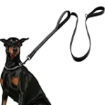 Eco-clean Dog Leash for Large Dogs, 2 Handles for Extra Control, 6 FT Long with Reflective Stitch for Night Walking