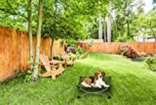 Carlson Pet Products Elevated Dog Bed, Indoor or Outdoor Dog Bed for Small Dogs, Green (8040)