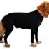 Emmy’s Best Stop The Itch Maximum Strength Chlorhexidine Spray for Dogs and Cats