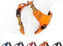 No Pull Dog Harness for Small Medium Large Dogs Adjustable Reflective Pet Vest with Front Clip Padded Harness for Dogs Easy Control Handle Best for Outdoor Training and Walking Orange S