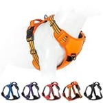 No Pull Dog Harness for Small Medium Large Dogs Adjustable Reflective Pet Vest with Front Clip Padded Harness for Dogs Easy Control Handle Best for Outdoor Training and Walking Orange S