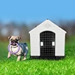 LONABR Plastic Outdoor Dog House with Door for Pet Weatherproof Kennel Small to Large Size,Blue & White (S-26.5″ L x 25″ W x 28”H)